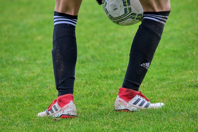 拉的带领下 拉的带领下