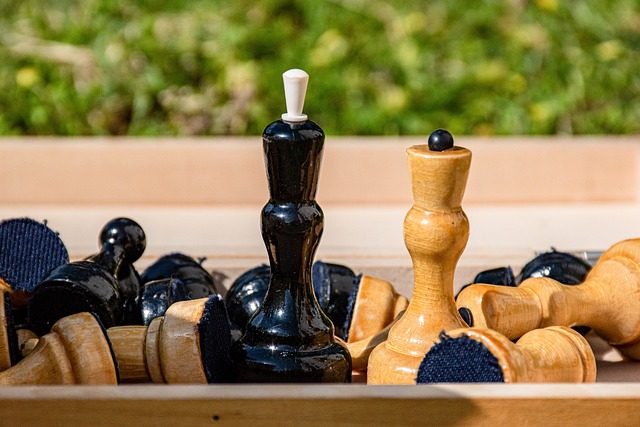 的重要原因 的重要原因