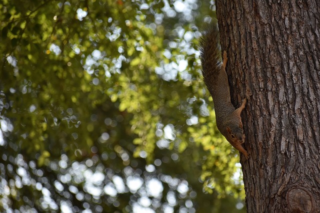 使其在每一 使其在每一