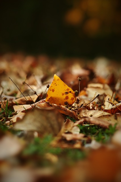 和战术的力 和战术的力